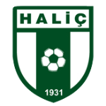 Haliç Spor Takım Logosu