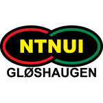 Ntnui Takım Logosu
