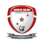 Galaxy Takım Logosu