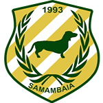 Samambaia Takım Logosu