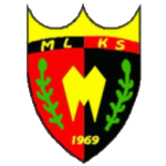 Mechanik Takım Logosu