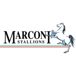 Stallions Takım Logosu
