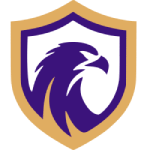 Falcon Takım Logosu