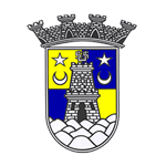 Sintrense Takım Logosu