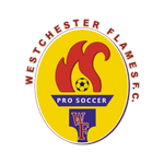 Flames Takım Logosu