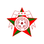 CEO Takım Logosu