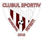 CSM Fetești Takım Logosu