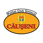 Sinteza Takım Logosu