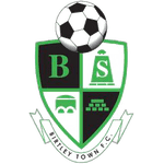 Birtley Takım Logosu