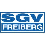 Freiberg Takım Logosu