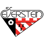 Everstein Takım Logosu