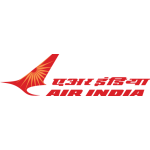 Air Hindistan Takım Logosu