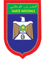 ASGNN Takım Logosu