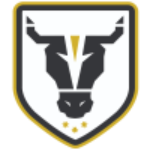 Bulls Takım Logosu