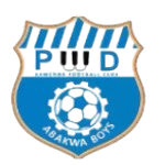 PWD Takım Logosu