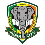 Surin Takım Logosu