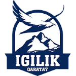 Igilik Takım Logosu