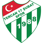 Tercan 17 Şubat Takım Logosu