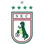Sousa Takım Logosu