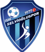 Selvioğluspor Takım Logosu