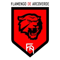 Flamengo Takım Logosu