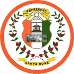 Barberena Takım Logosu