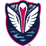 Tormenta Takım Logosu