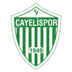 Çayelispor Takım Logosu