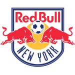 New York Takım Logosu