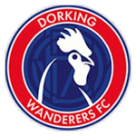 Dorking Takım Logosu
