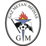 Gaz Metan Takım Logosu