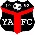 Ynyshir Albions Takım Logosu