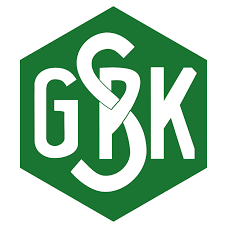 GSC Takım Logosu