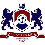 Newton A Takım Logosu