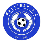 Wallidan Takım Logosu