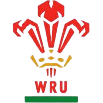 Wales U20 Takım Logosu