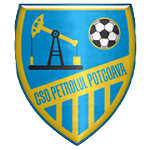 P. Potcoava Takım Logosu