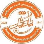Paadyab Takım Logosu