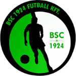 Budaorsi Takım Logosu