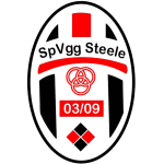 Steele Takım Logosu