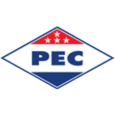 Piauí Takım Logosu