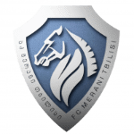 Merani Tbilisi II Takım Logosu