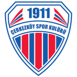 Çerkezköy 1911 Takım Logosu