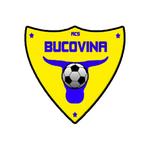 B. Radauti Takım Logosu