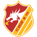 Nasaf Takım Logosu