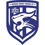 Wuhan Three Takım Logosu