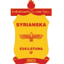 Syrianska E Takım Logosu