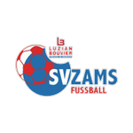 Zams Takım Logosu