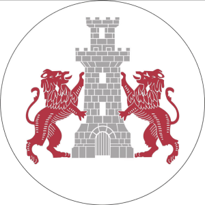 Cetatea Turnu M. Takım Logosu