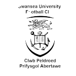 Swansea Uni Takım Logosu